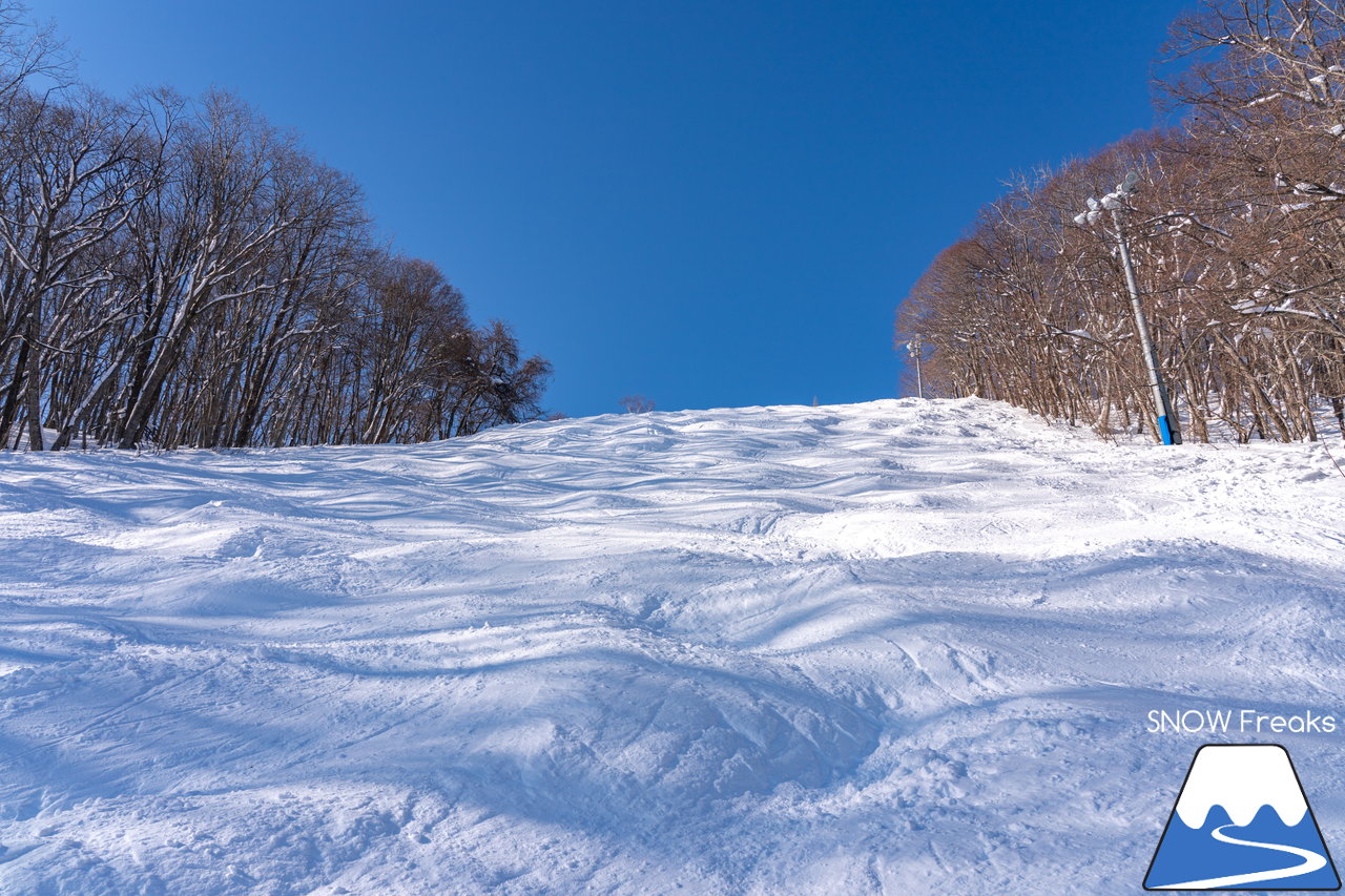 札幌藻岩山スキー場｜本日、雲一つ無い快晴！札幌藻岩山の全10コースの滑走にチャレンジ(^^)/